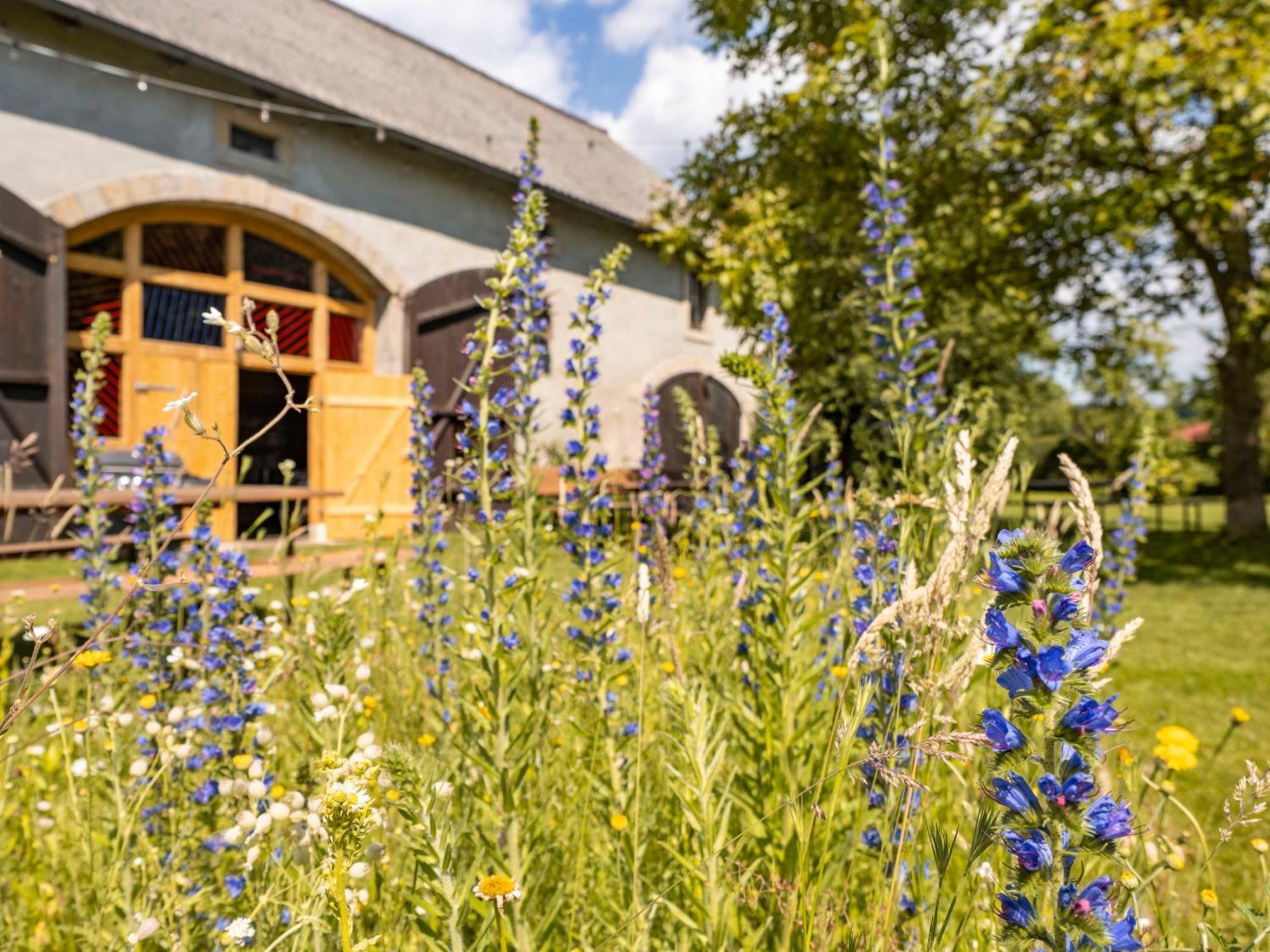 Hinterland Hostel Rathen Eksteriør billede